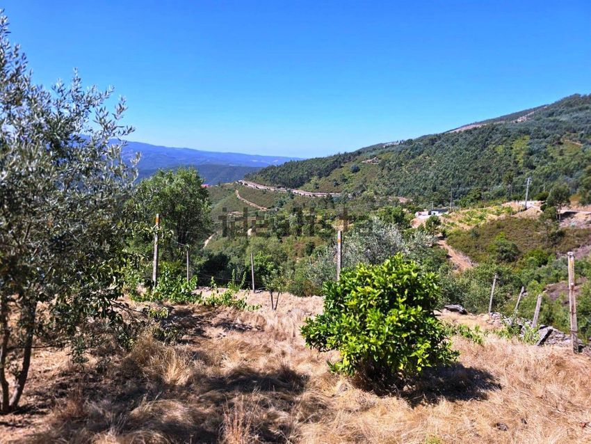 Moradia T0 à venda em Portela do Fojo-Machio, Pampilhosa da Serra — foto 35