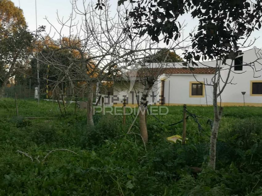 Moradia T5 à venda em Santiago do Cacém, Santa Cruz e São Bartolomeu da Serra, Santiago do Cacém — foto 6