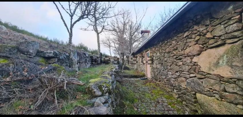 Moradia T2 à venda em Vilar e Viveiro, Boticas — foto 35