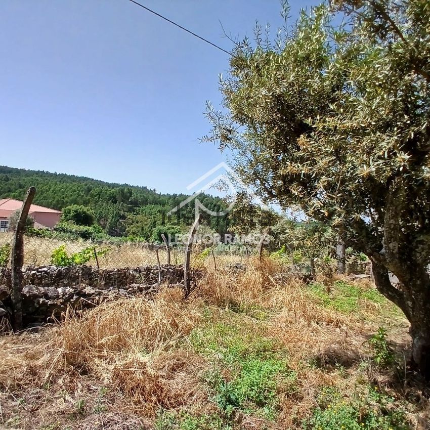 Moradia T3 à venda em Proença-a-Nova e Peral, Proença-a-Nova — foto 2