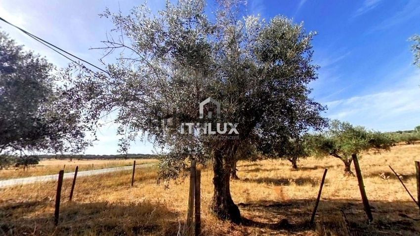 Moradia T2 à venda em São Brás e São Lourenço, Elvas — foto 17