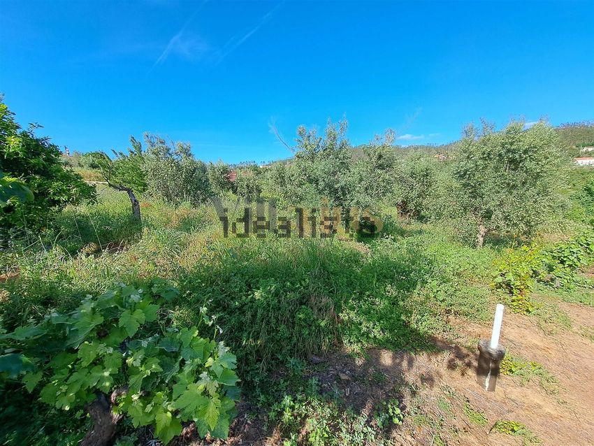 Moradia T4 à venda em Casais e Alviobeira, Tomar — foto 32