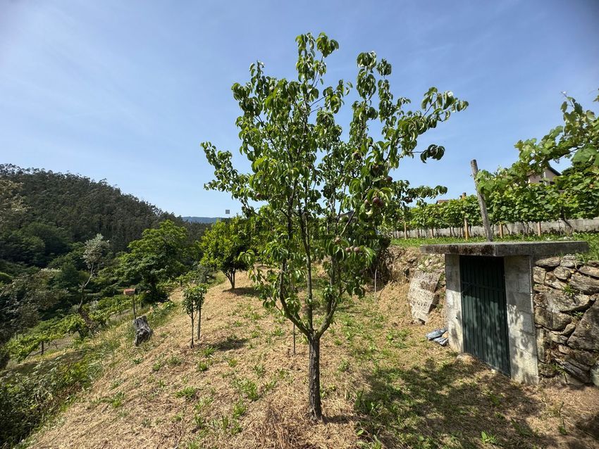 Moradia T5 à venda em Ribeiradio, Oliveira de Frades — foto 40