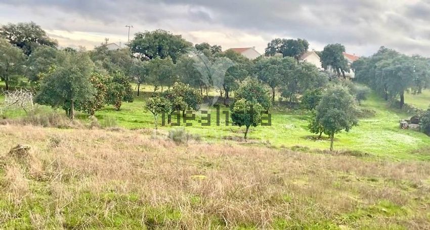 Moradia T6+ à venda em Vale de Prazeres e Mata da Rainha, Fundão — foto 30