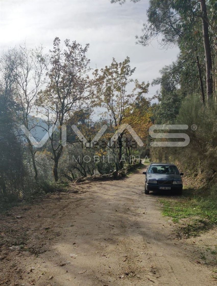 Moradia T1 à venda em Valdosende, Terras de Bouro — foto 30