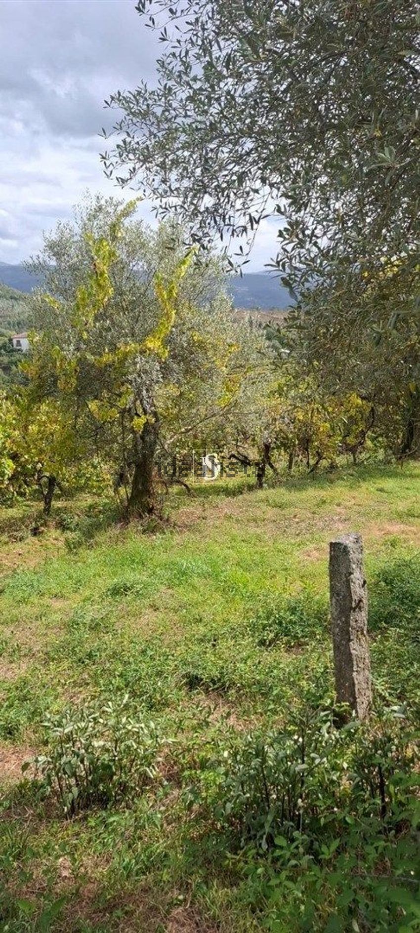 Moradia T2 à venda em Vila Garcia, Aboim e Chapa, Amarante — foto 16