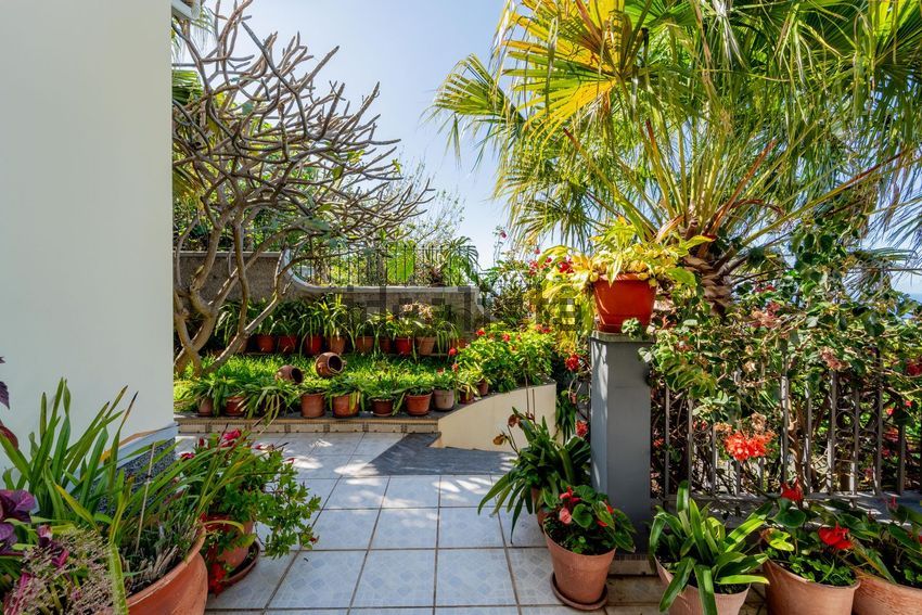 Moradia T3 à venda em São Gonçalo, Funchal — foto 24