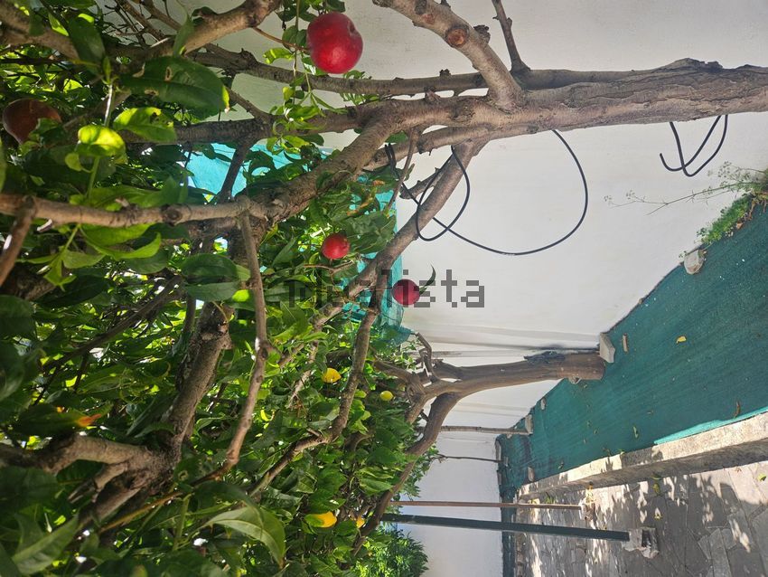 Moradia T4 à venda em Olivais, Lisboa — foto 21