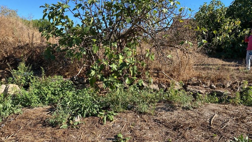 Moradia T3 à venda em Tolosa, Nisa — foto 31