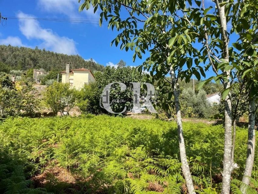 Moradia T2 à venda em Lavegadas, Vila Nova de Poiares — foto 24