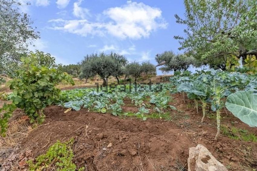 Moradia T4 à venda em Alcaria, Fundão — foto 12