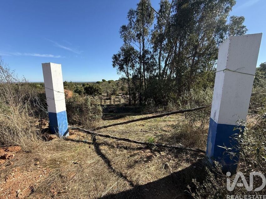Moradia T1 à venda em Amieira, Portel — foto 4