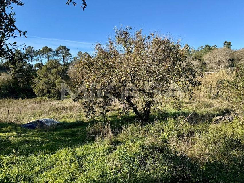 Moradia T1 à venda em Rogil, Aljezur — foto 2