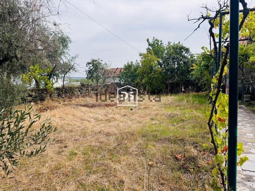 Moradia T3 à venda em Lajeosa do Mondego, Celorico da Beira — foto 28