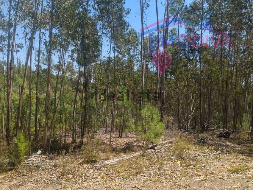 Moradia T1 à venda em Vila Facaia, Pedrógão Grande — foto 13