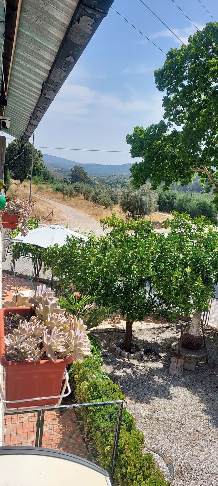 Moradia T6+ à venda em Canas de Senhorim, Nelas — foto 25