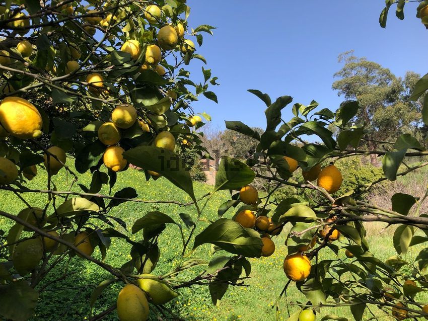 Moradia T2 à venda em Marmelete, Monchique — foto 12