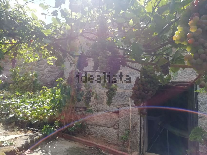 Moradia T3 à venda em Travanca de Lagos, Oliveira do Hospital — foto 12