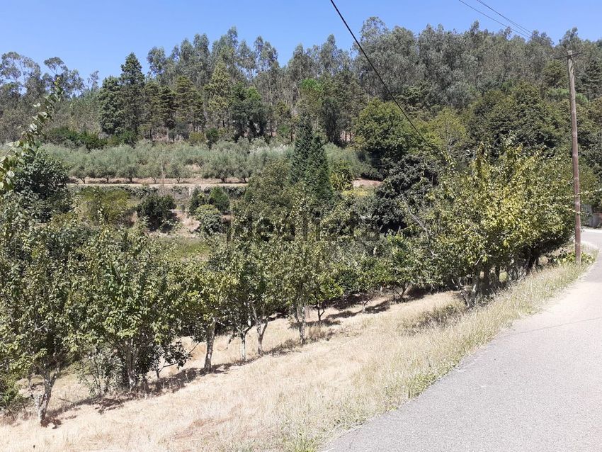 Moradia T2 à venda em Belazaima do Chão, Águeda — foto 22