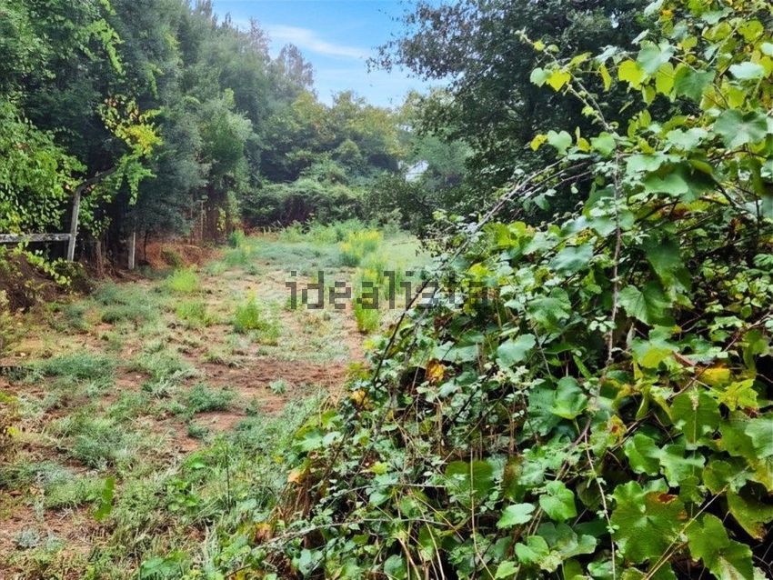 Moradia T2 à venda em Cernache do Bonjardim, Nesperal e Palhais, Sertã — foto 13