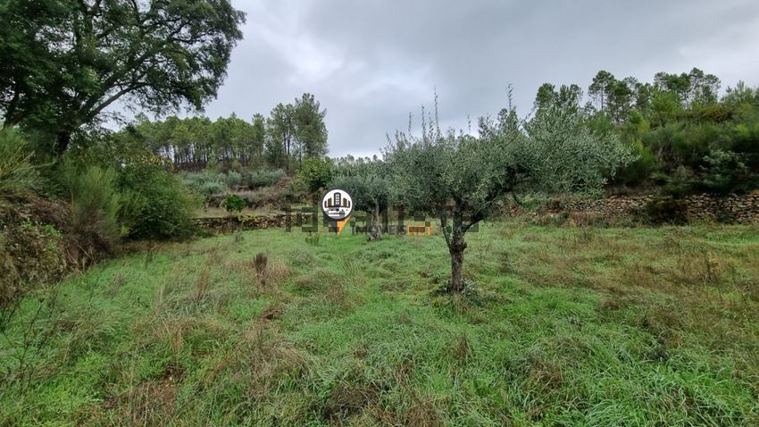 Moradia T3 à venda em Almaceda, Castelo Branco — foto 24