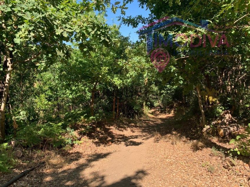 Moradia T1 à venda em Vila Facaia, Pedrógão Grande — foto 26