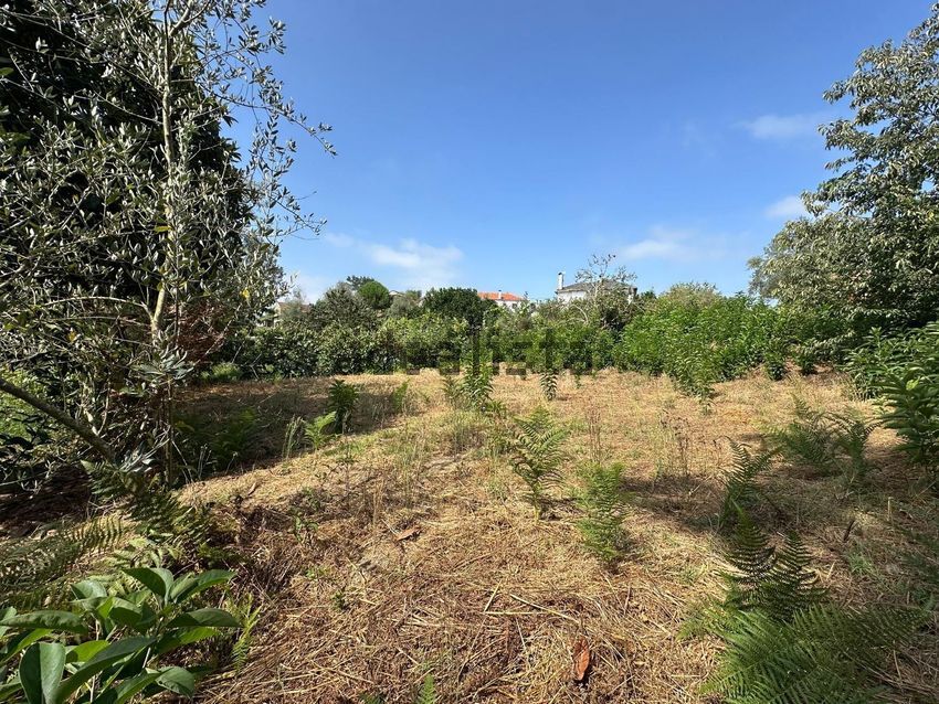 Moradia T3 à venda em Treixedo e Nagozela, Santa Comba Dão — foto 31