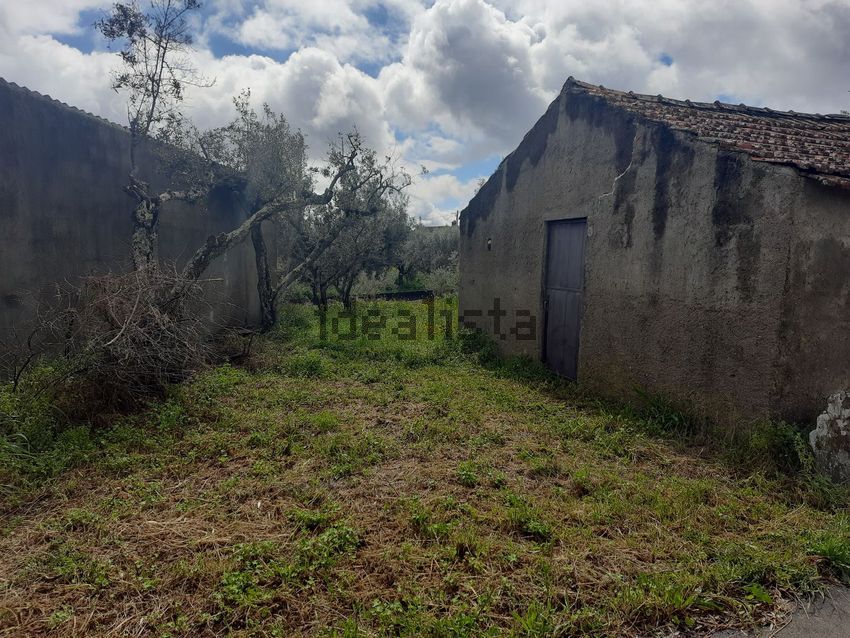 Moradia T1 à venda em Santo André das Tojeiras, Castelo Branco — foto 3