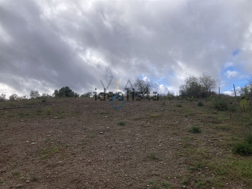 Moradia T4 à venda em Castro Vicente, Mogadouro — foto 21