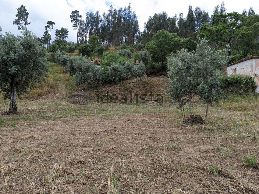 Moradia T0 à venda em Aldeia do Mato e Souto, Abrantes — foto 23