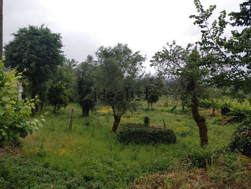 Moradia T3 à venda em Vale de Bouro, Celorico de Basto — foto 9