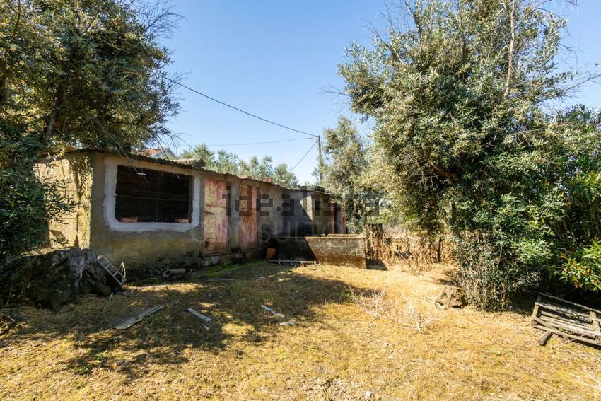 Moradia T3 à venda em Alvares, Góis — foto 24