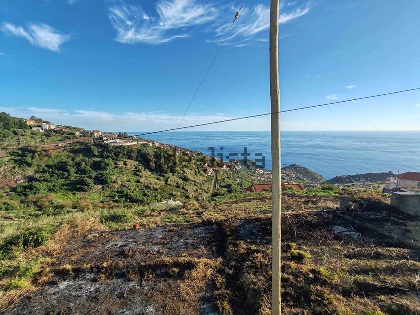 Moradia T3 à venda em Tabua, Ribeira Brava — foto 18