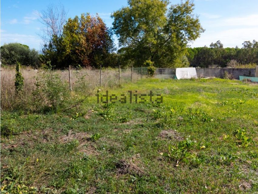 Moradia T3 à venda em Portunhos e Outil, Cantanhede — foto 20