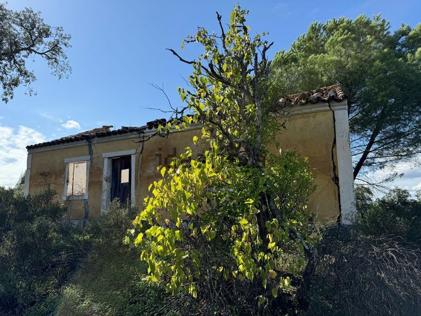 Moradia T0 à venda em Montargil, Ponte de Sor — foto 14