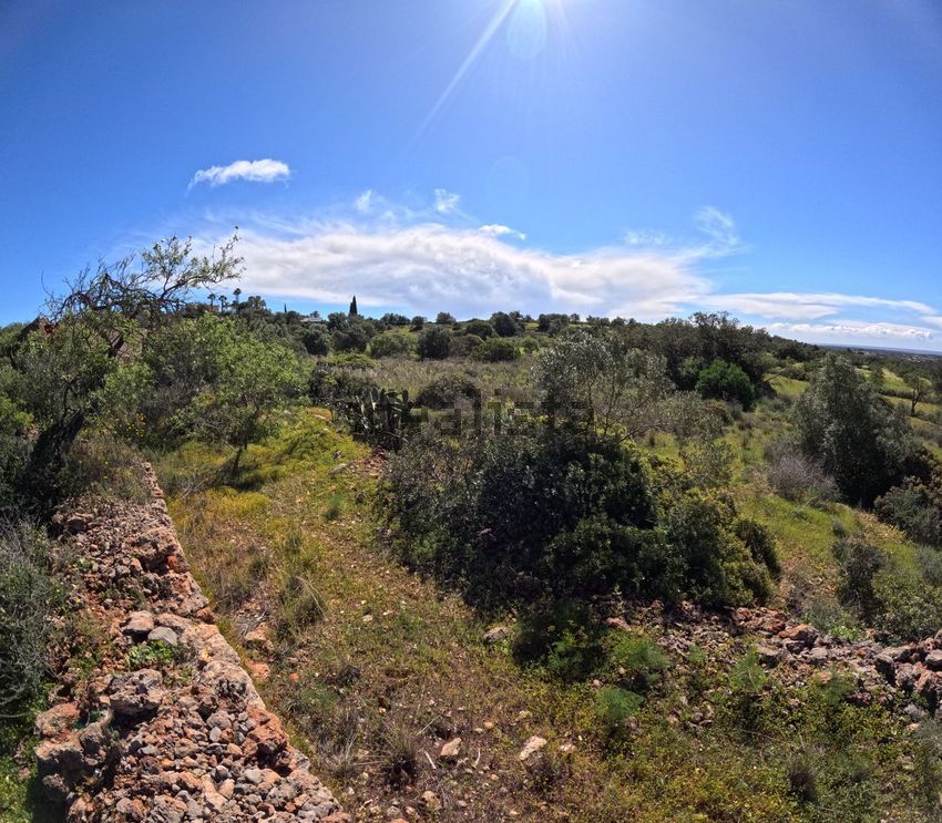 Moradia T2 à venda em Santa Bárbara de Nexe, Faro — foto 10