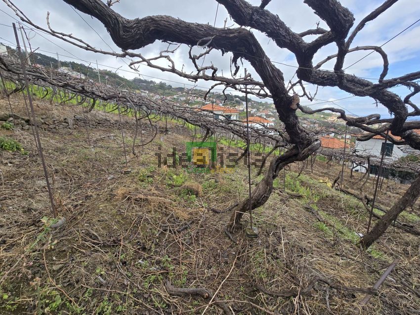 Moradia T4 à venda em Estreito de Câmara de Lobos, Câmara de Lobos — foto 17