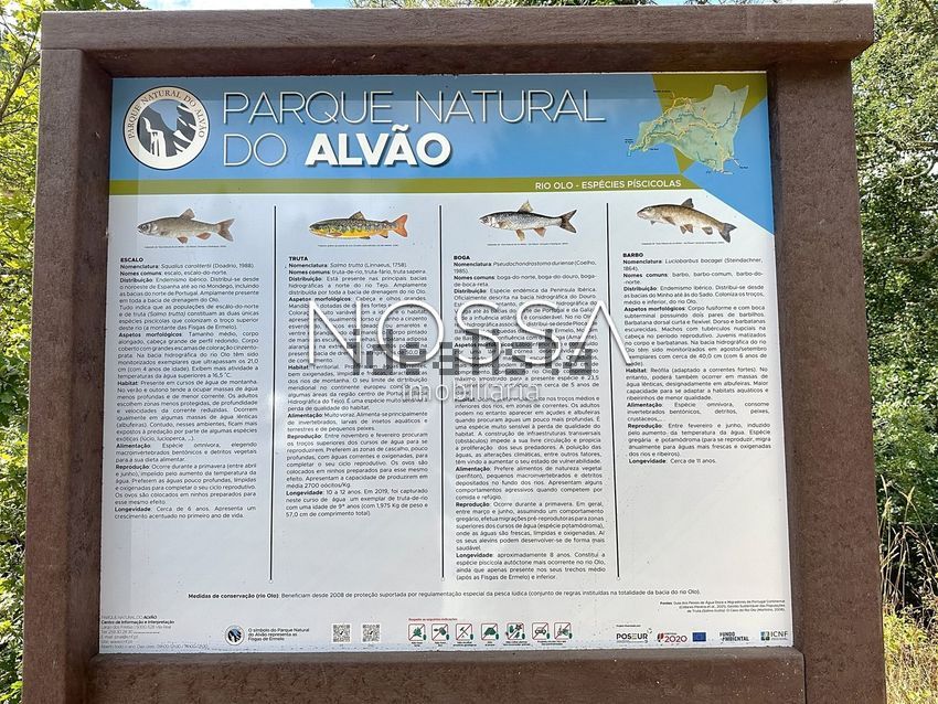 Moradia T5 à venda em Ermelo e Pardelhas, Mondim de Basto — foto 31