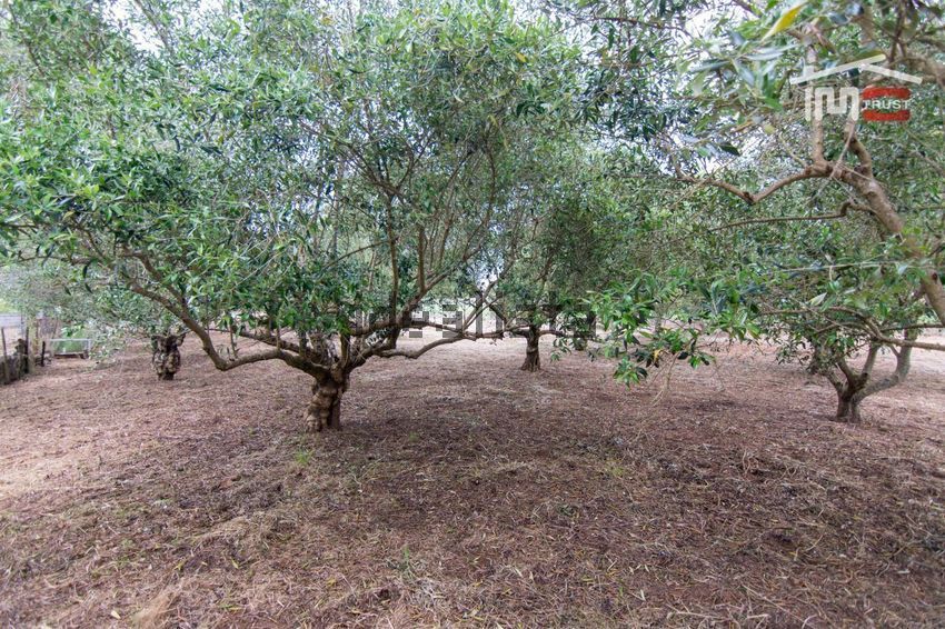 Moradia T4 à venda em São Mamede, Batalha — foto 37