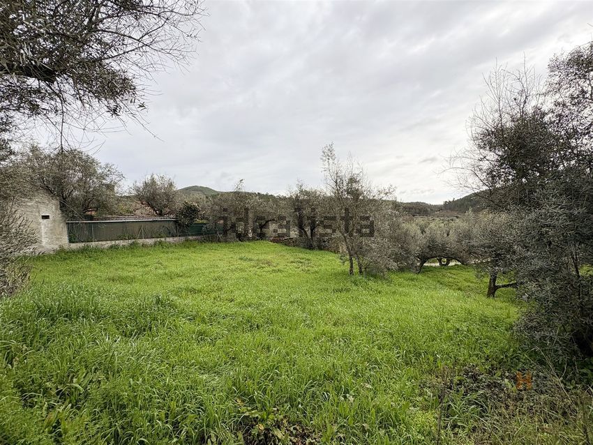 Moradia T1 à venda em Sarzedas, Castelo Branco — foto 13
