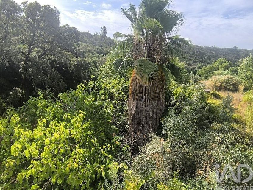 Moradia T3 à venda em Casais e Alviobeira, Tomar — foto 26