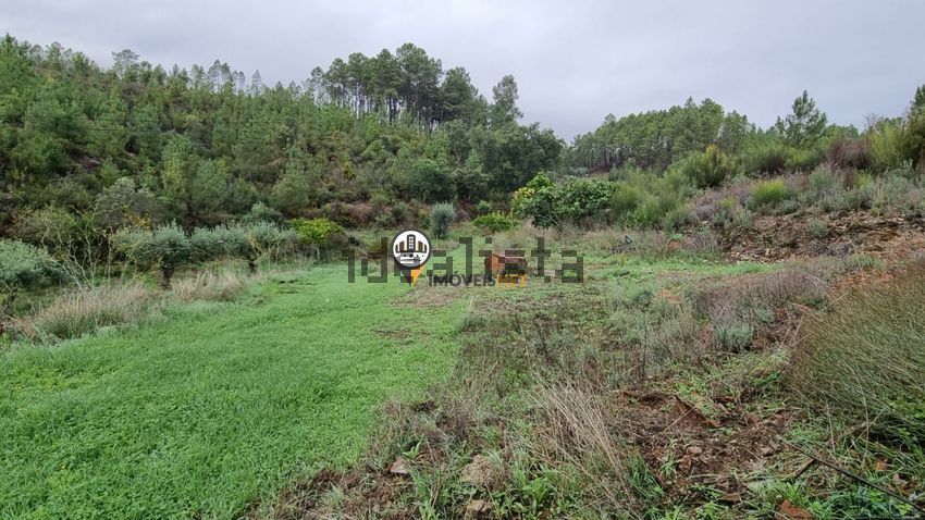 Moradia T3 à venda em Almaceda, Castelo Branco — foto 39
