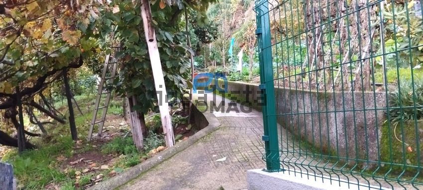 Moradia T4 à venda em Anreade e São Romão de Aregos, Resende — foto 20