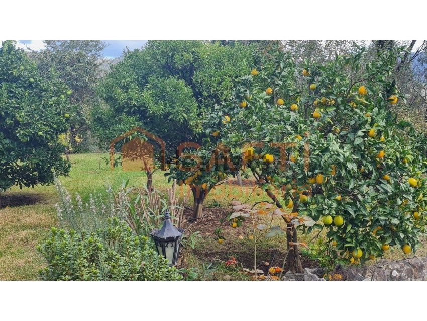Moradia T4 à venda em Ossela, Oliveira de Azeméis — foto 21