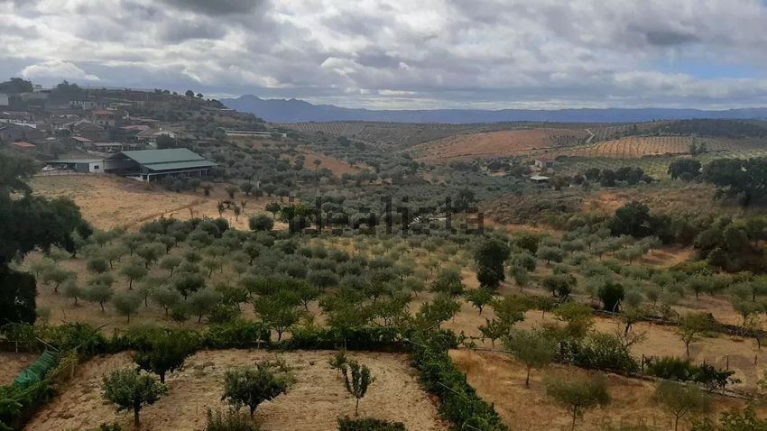 Moradia T5 à venda em Lamas de Orelhão, Mirandela — foto 29