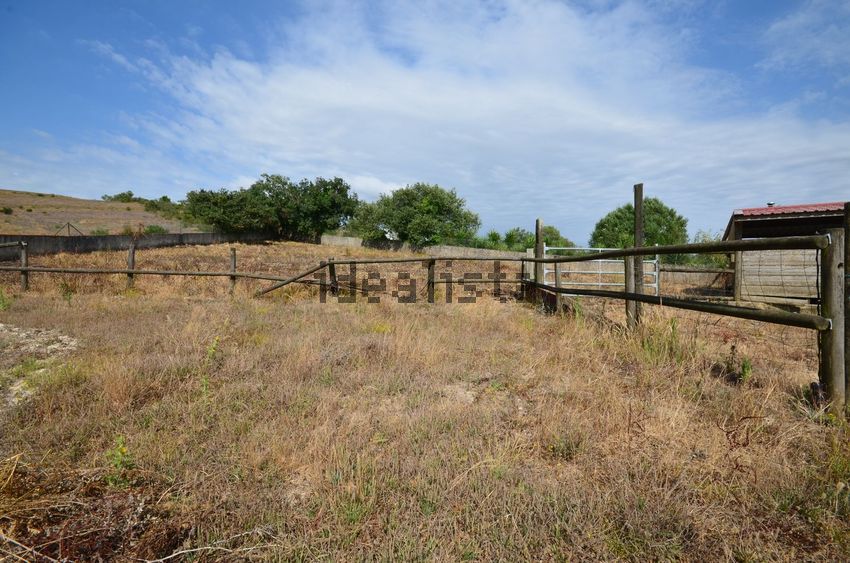 Moradia T5 à venda em Malveira e São Miguel de Alcainça, Mafra — foto 16