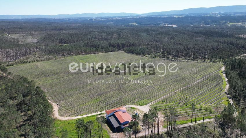 Moradia T3 à venda em Coz, Alpedriz e Montes, Alcobaça — foto 4