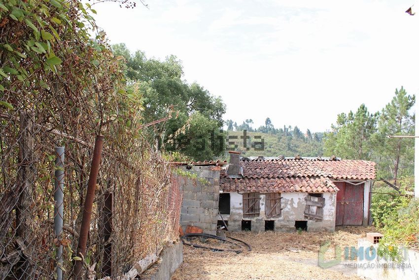 Moradia T2 à venda em São João do Peso, Vila de Rei — foto 24