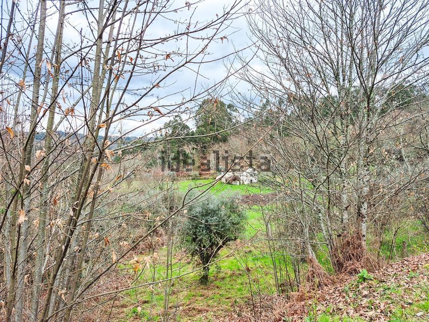 Moradia T0 à venda em São Miguel do Mato, Vouzela — foto 26
