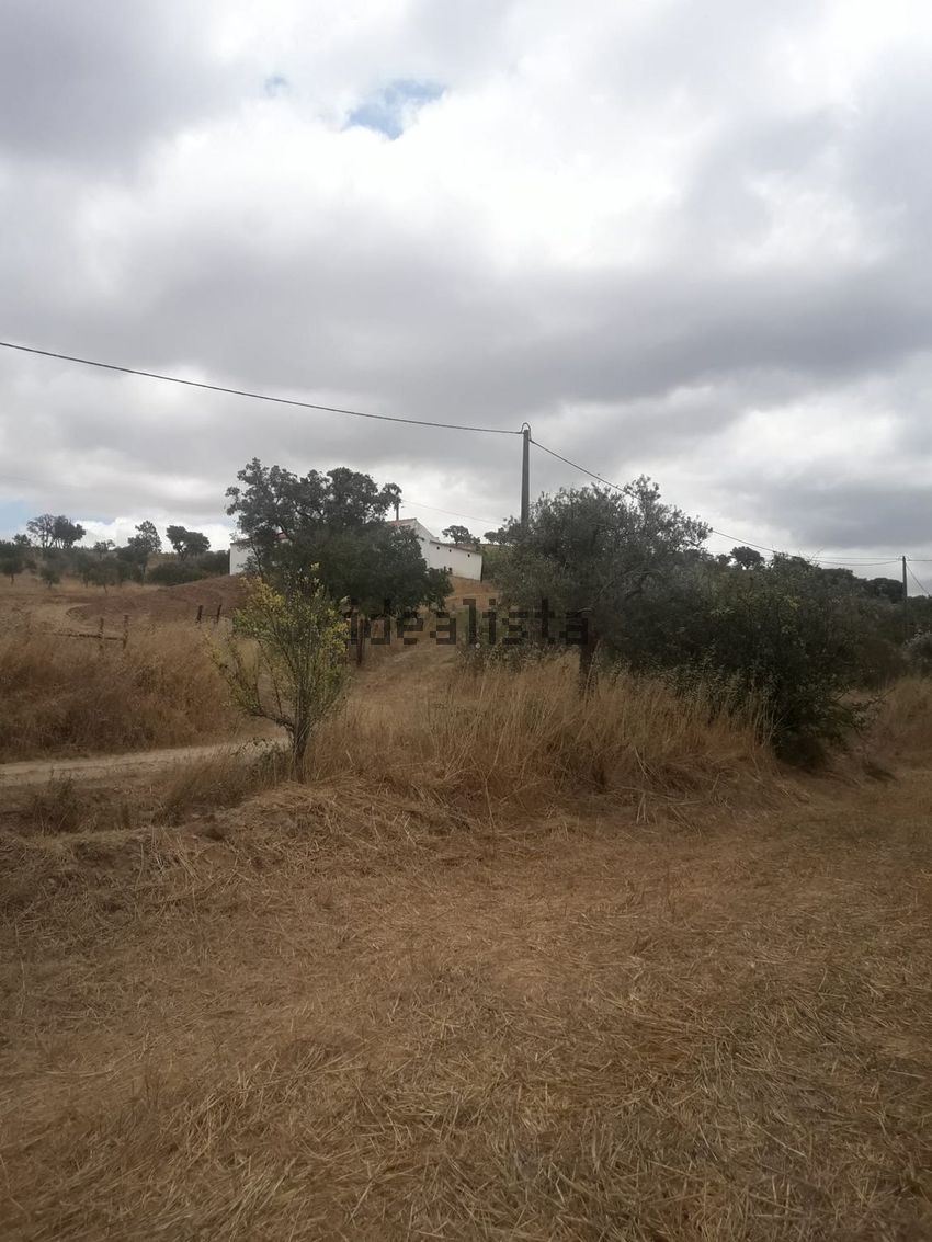 Moradia T2 à venda em São Martinho das Amoreiras, Odemira — foto 13